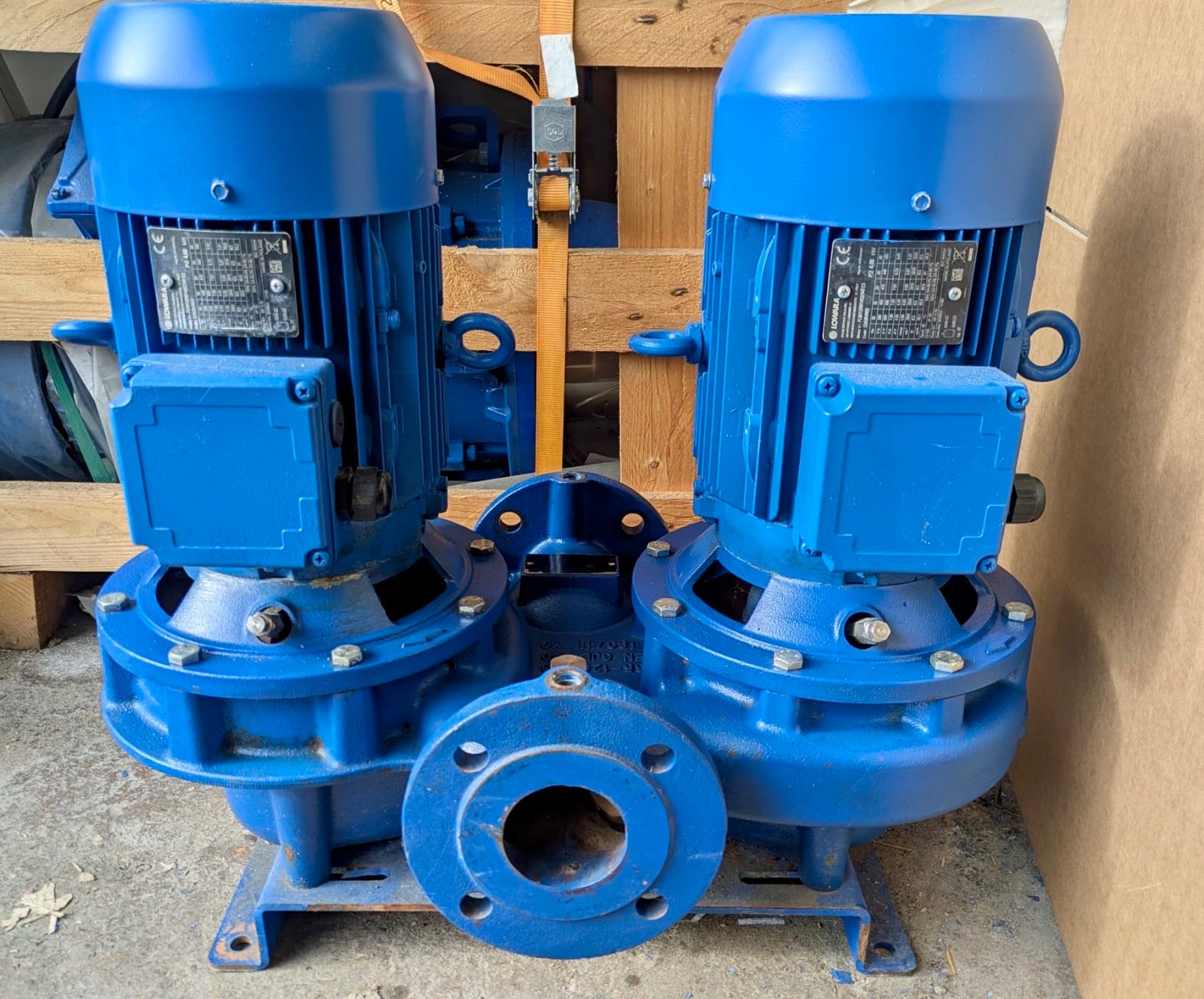 Lowara LNTE 65-125/40/P25VCS4 Circulator Pump 101890900 DN65 4kW #4806