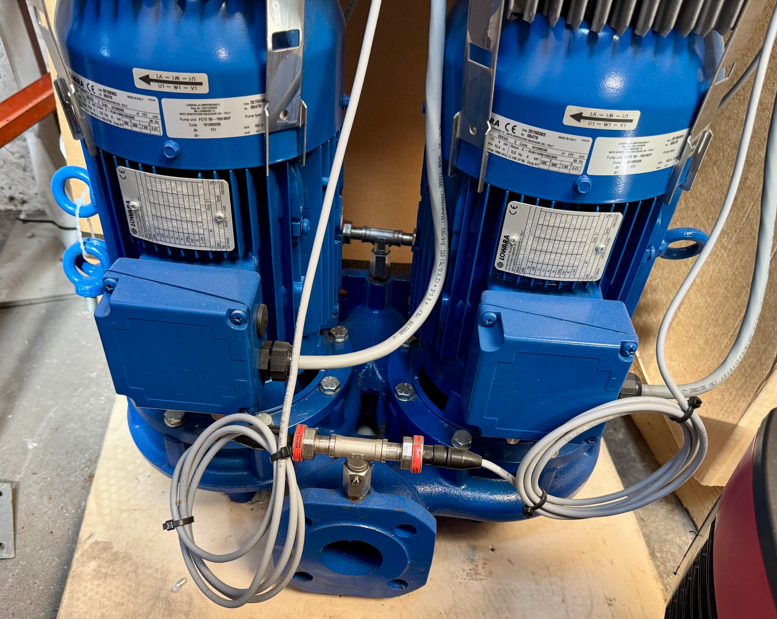 Lowara FCTE 50-160/40 Circulator Pump 101260230 DN50 4kW #4698