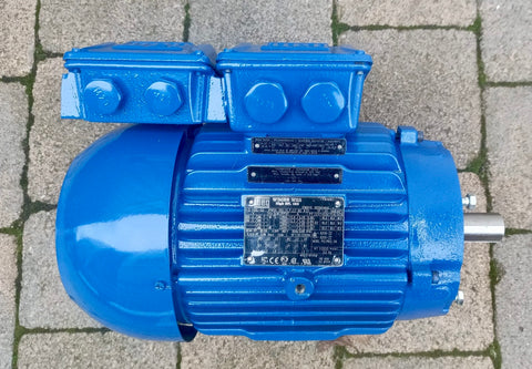 WEG W22 WIMES AC Motor 3kW 100L-02 Lowara 2 POLE 2800 RPM #4375