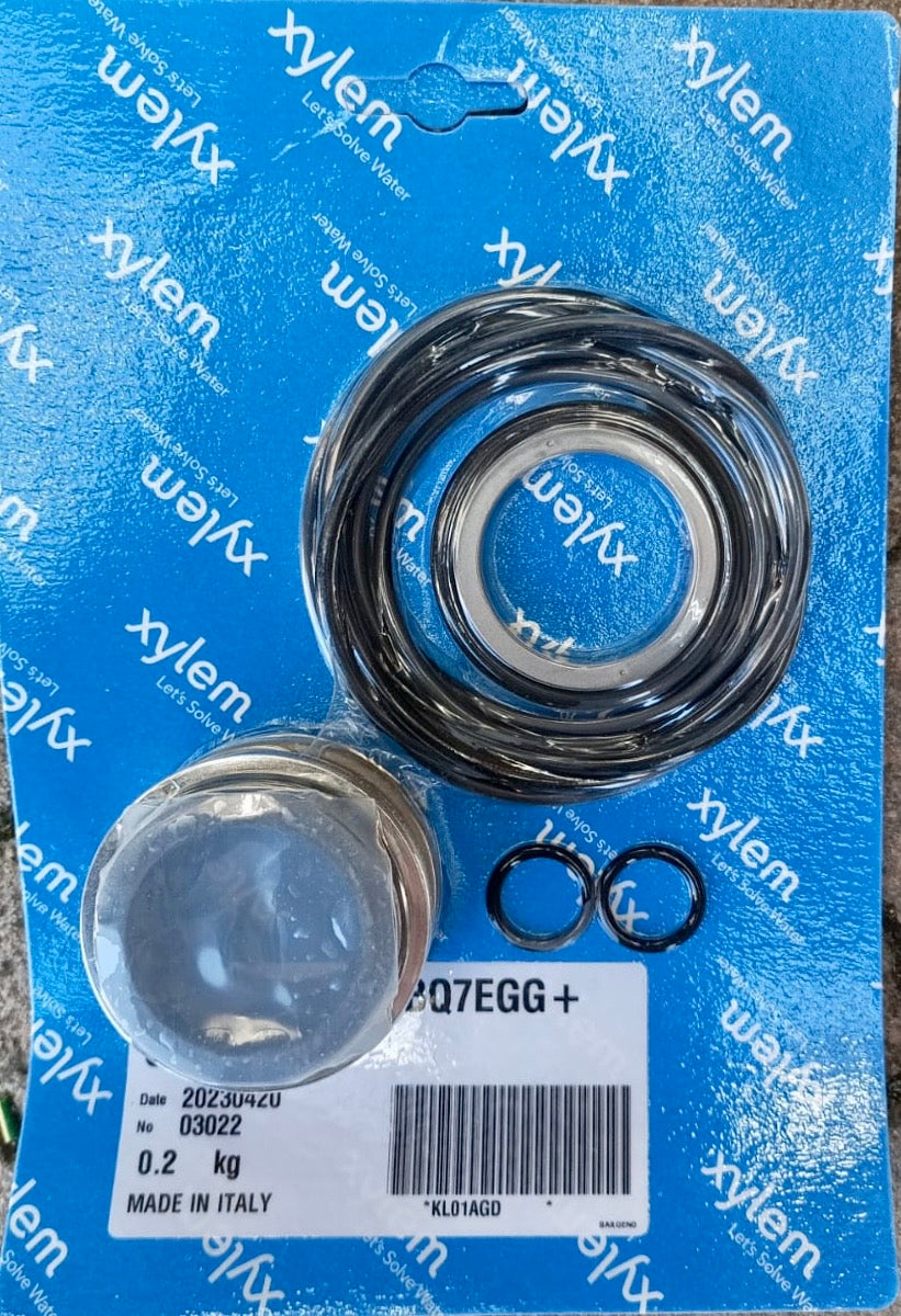 XYLEM LOWARA Mechanical Seal & O-Ring Kit e-NSC e-LNE e-LNT 38mm KL01AGD BQ7EGG #4250