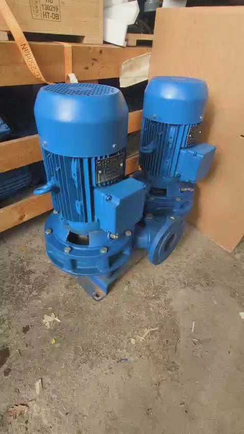 Lowara LNTE 65-125/40/P25VCS4 Circulator Pump 101890900 DN65 4kW #4806