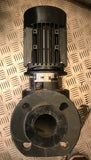 Grundfos TP50-60/2 A-F-A-BUBE 96405088 Single Stage In Line Pump #1380 vat