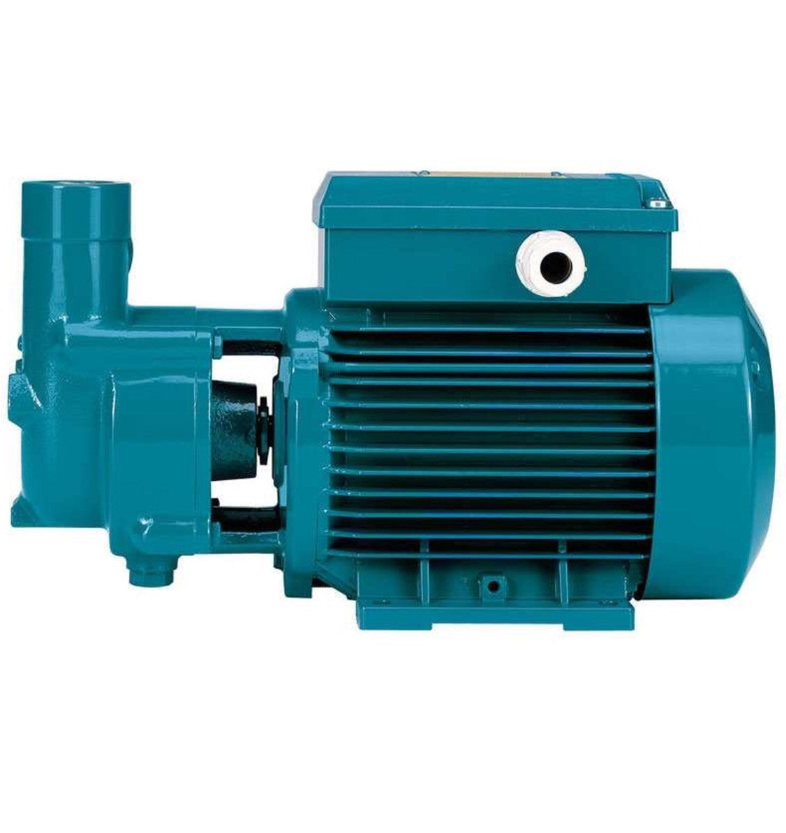 Calpeda-CA 60E-Self-Priming Liquid Ring pump #287/288