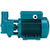Calpeda-CA 60E-Self-Priming Liquid Ring pump #287/288